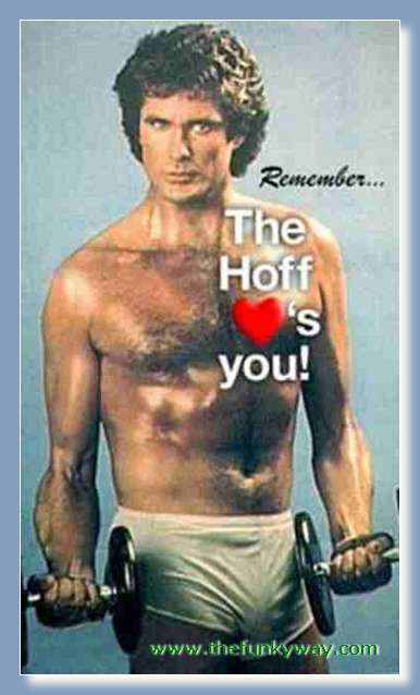 Hoff - David hasslehoff